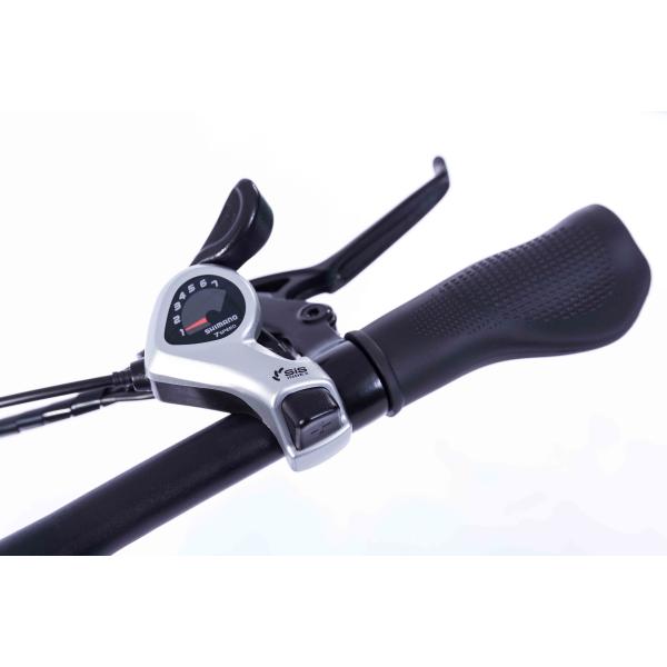 Black 20 Inch Electric Bike , Brushless Motor 36v Fat Wheel Electric Bike