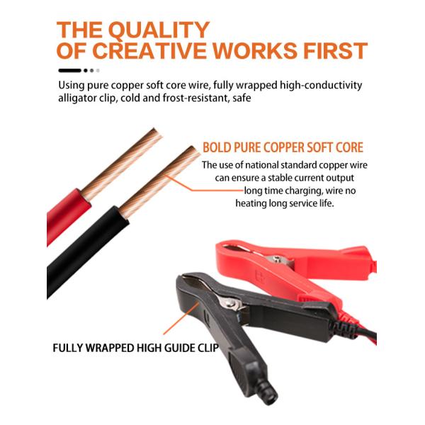 Caravan PWM Smart Battery Charger 12V 6A With Pulse Repair