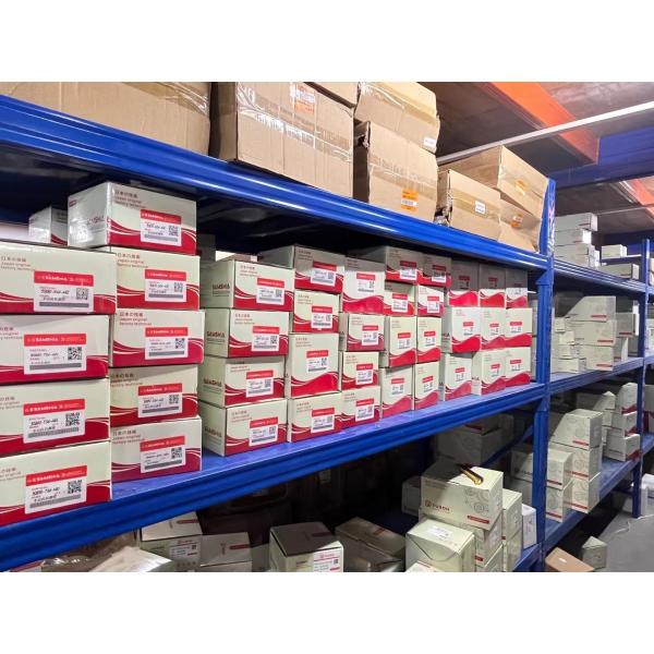 Front Hood Lift Support Gas Spring for HONDA ODYSSEY RC3 2015-2019 Car Fitment HONDA