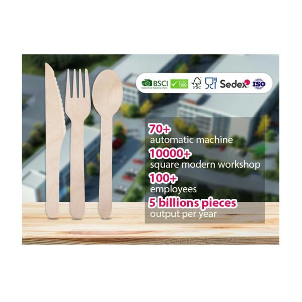 Biodegradable Wooden Disposable Cutlery Set Grade AB for Dining