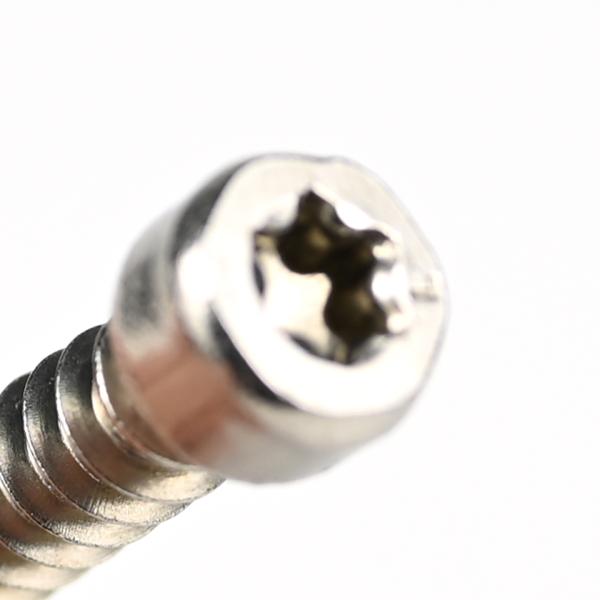 304 Stainless Steel Round Fillister Head Screw M6 Torx Screw with Customized Support