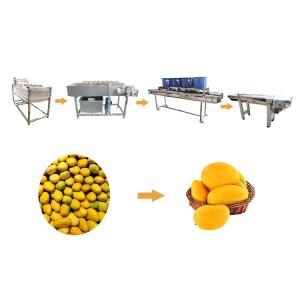 China Hot selling Fruit Washer Machine Price With Reasonable Price by Huafood wholesale