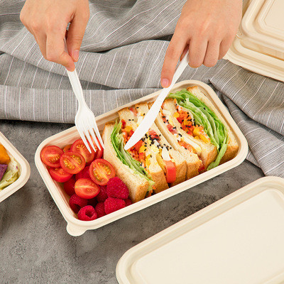 242*145*48mm Biodegradable Takeaway Boxes