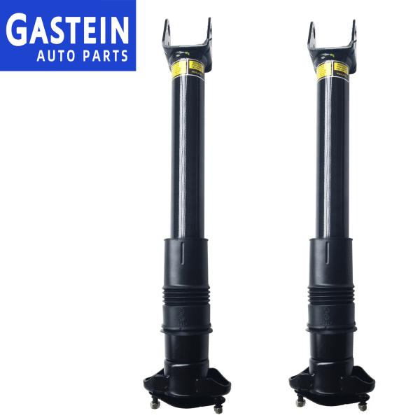251 320 22 31 Rear Airbag Suspension For W251 R Class