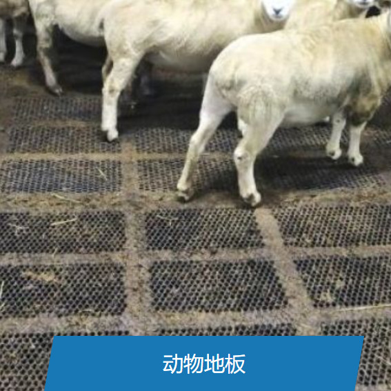 Plain Weave Expanded Metal Mesh Commercial Grade Customized Size