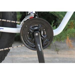 50km/H 48v 1000 Watt Electric Mountain Bike