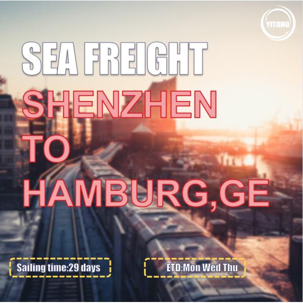 EMC YML Liner International Sea Freight Logistics From Shenzhen To Hamburg Germany