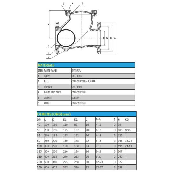 316 Ss Check Valve Stainless Steel Ball Check Valve Back Pressure Retention Swing Type