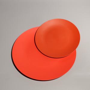 China Customized Logo Food Grade Plate Plastic Food Tray Recyclable And Environmentally Friendly wholesale