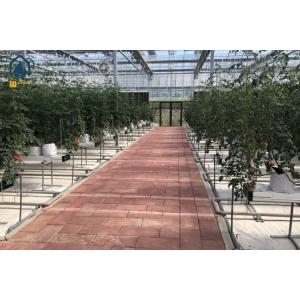 Advanced Steel Gutter For Hydroponic And Substrate Steel Planting Systems