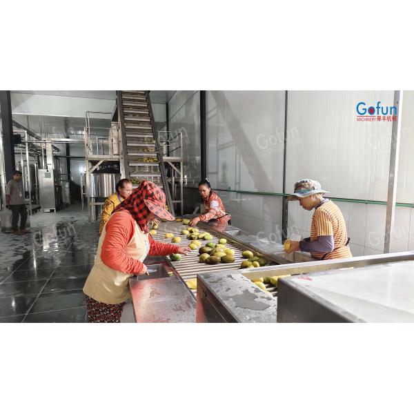 Mango processing line overview