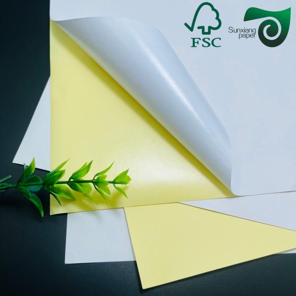 FSC Waterproof PET Printing Sticker Paper Glossy White Synthetic Paper Sheets