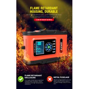 GEL WET AGM 12.6V Lifepo4 Lithium Phosphate Battery Charger