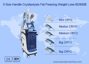 China 360 Angle Vertical Double Chin Cryolipolysis Slimming Machine wholesale