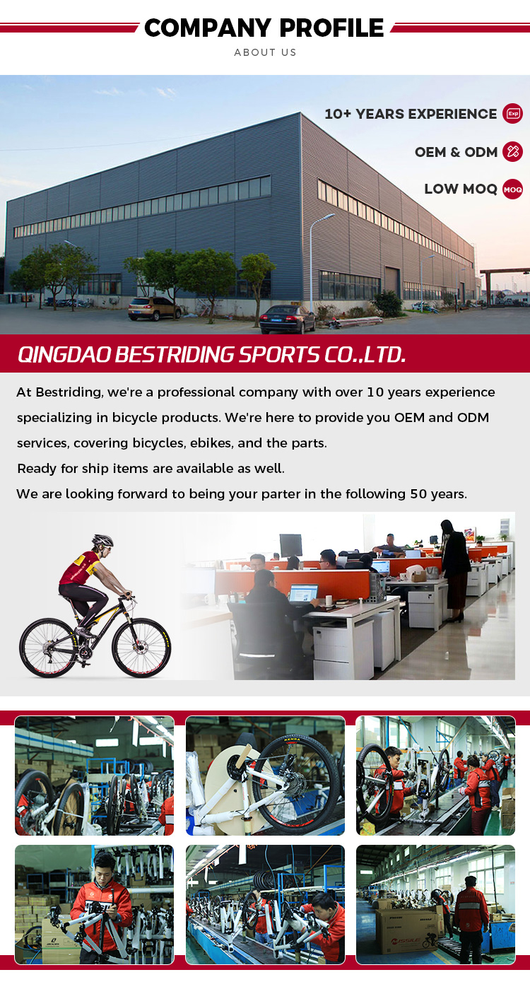 20" Ultralight Folding Road Bike with Aluminum Alloy Frame and SMN 3500 Rear Derailleur