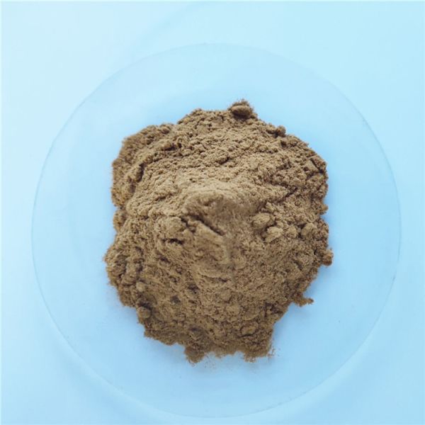gmp anti cancer nutrition supplement kelp extract in bulk