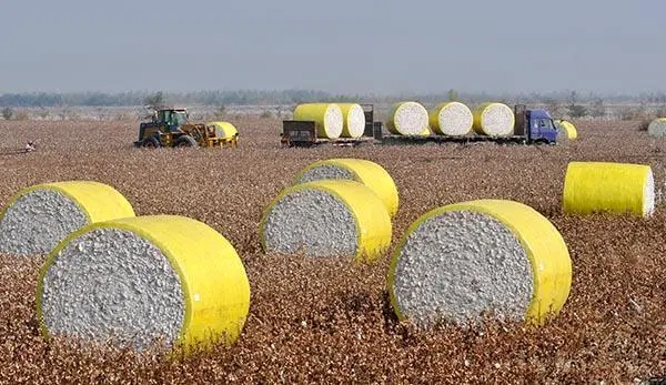 2210mm Width Cotton Wrap Film For Cotton Automatic Harvesting Customized Length