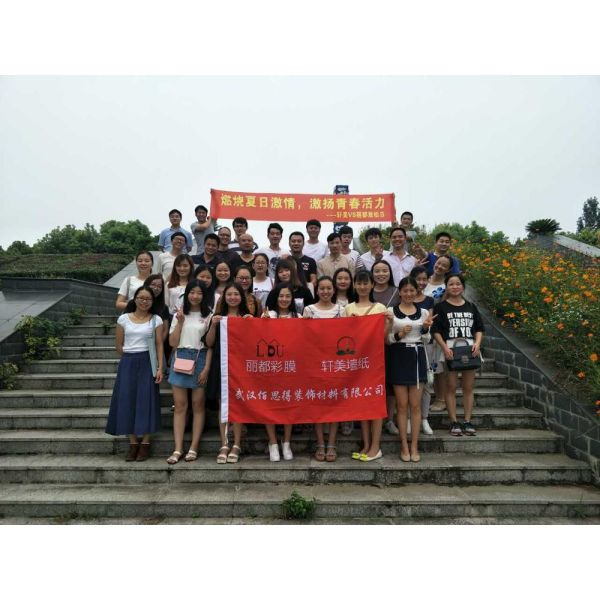 Customized Matt Surface Solid Color Self Adhesive Vinyl PVC Film for Furniture Covering