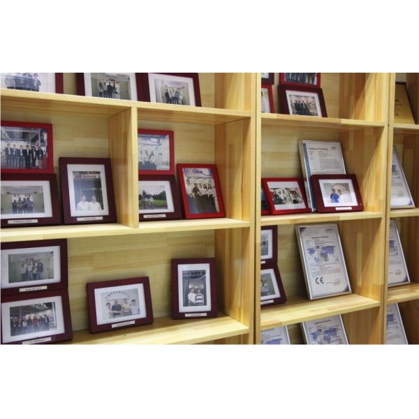 CHINA EM TECHNOLOGY LIMITED