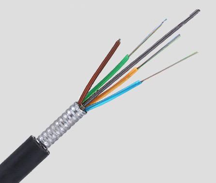 8 Core Single Mode Fiber Optic Cable Carrier Grade Outdoor GYTS-8B1.3