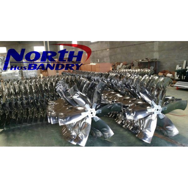 poultry meat trading companies