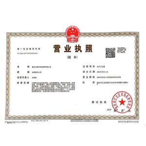 Chongqing Big Science & Technology Development Co., Ltd. Certifications