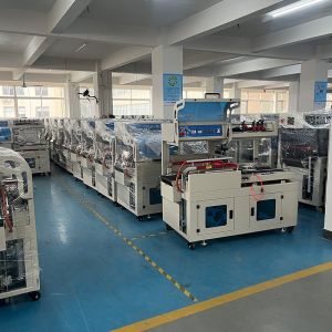 China High Efficiency 30pcs/Min Heat Shrink Packing Machine Automatic on sale