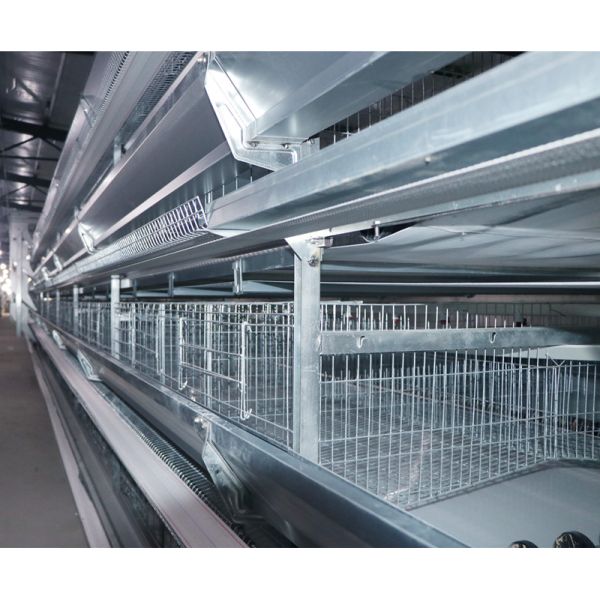Automatic Laying Poultry Farm Equipments H Type 4Tiers 192 Birds Layer Battery Chicken Cage For Africa Markets