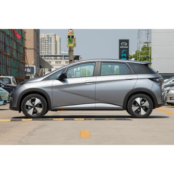 Compact Sedan Electric Car BYD Dolphin Electrico 2024 420KM Knight Edition for Adults