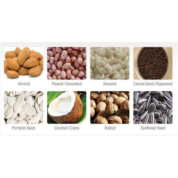 15Kg/H 220V Peanut Oil Press Machine CE Commercial Stainless Steel 3000W