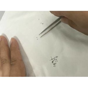 China High Accuracy Micro Precision CNC Machining , Medical Micro Precision Parts wholesale