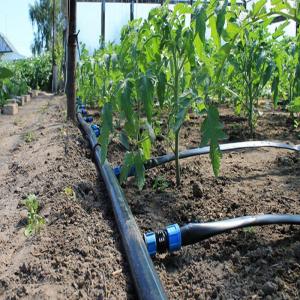 China Greenhouse Drip Irrigation System / Overhead Sprinkler System For Greenhouse on sale