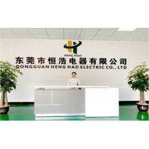 Dongguan Heng Hao Electric Co., Ltd