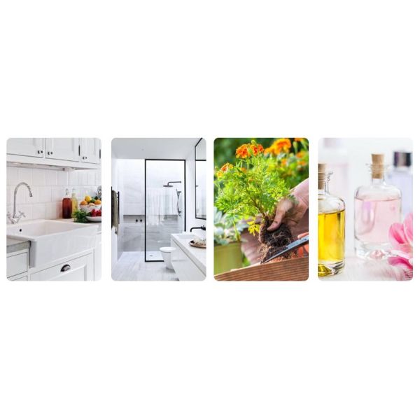 Transparent Pet Empty Plastic Spray Bottle 30ml - 800ml Volume With Pump Mouse