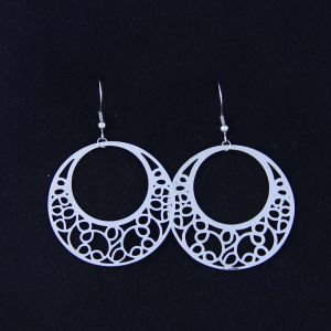 China Fashion High Quality Ladies Women Girls Stainless Steel Earrings LEF125 wholesale