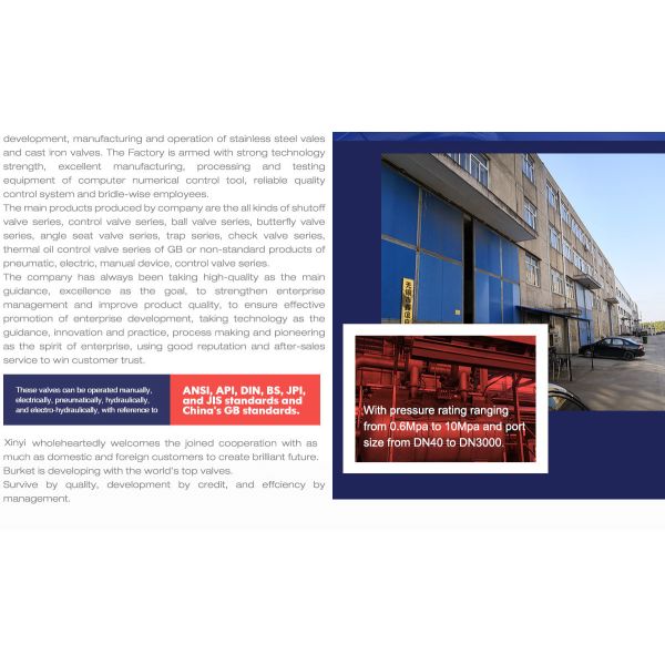 DN80 PN16/20 Stainless Steel Thread Angle Seat Valve with SS304/Plastic pneumatic cylinder