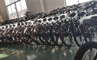 Stable 20 Inch Electric Bike Aluminum Alloy 6061 Frame 48V 500W Motor