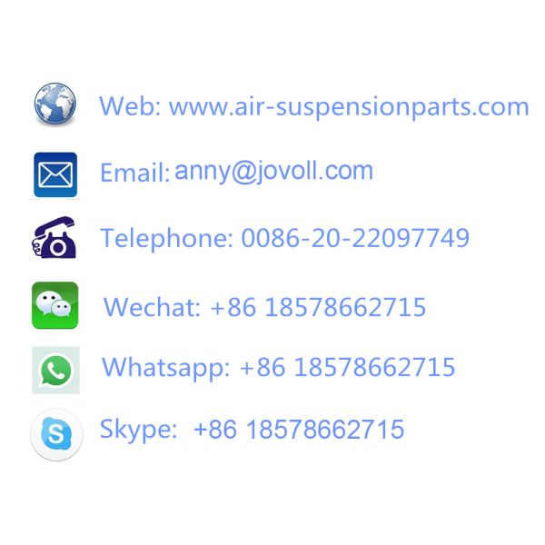 W220 Air Suspension Shock Absorber Spring System For Mercedes S - Class W220 A2203202438 A2203205113