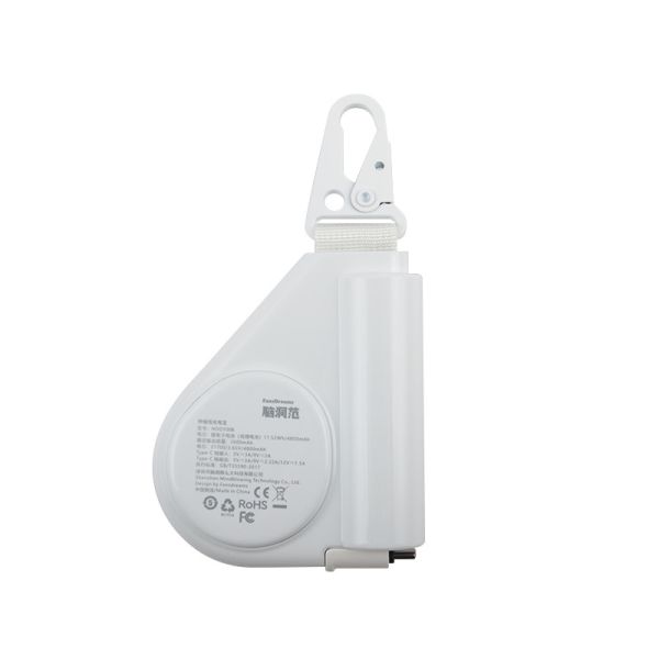 Micro USB Or Type C Portable Power Bank For Smart Phone USB Devices MP4