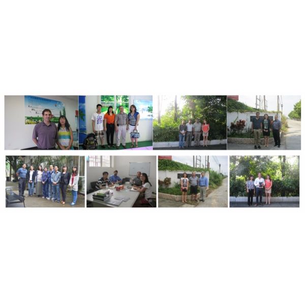 Custom Mild Steel Outdoor Metal Benches With Sandblasting Zinc Spraying Finish