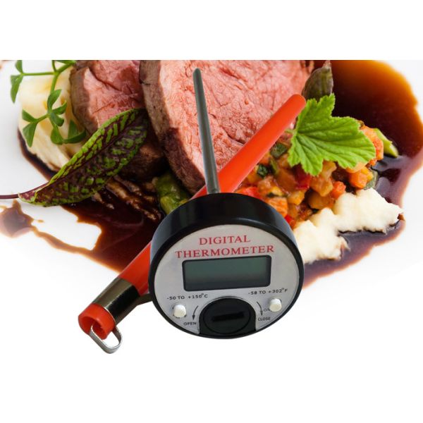 Quality Abs Plastic Housing Round Outdoor Cooking Thermometer With Sheath Power Saving for sale