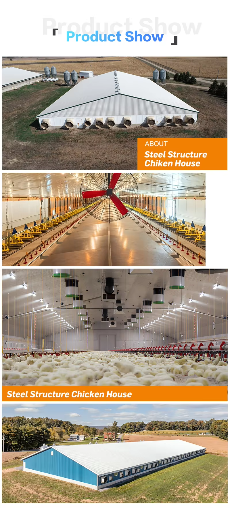 High Quality Fast Assemble Layer Broiler Chicken Steel Farm Building