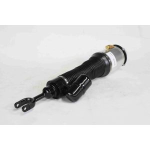 Bentley Continental Automobile Shock Absorber Spring Strut 3D0616040D