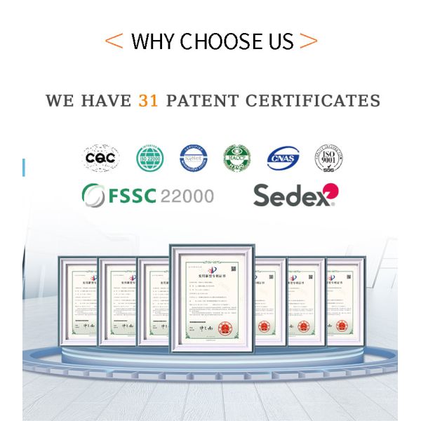 PLC Controlled Stainless Steel Food Processing Machinery Tart Shell Making