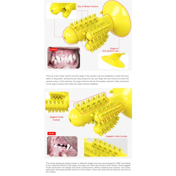 Durable Rubber Cactus Tough Interactive Squeaky Dog Toys For Aggressive Chewers