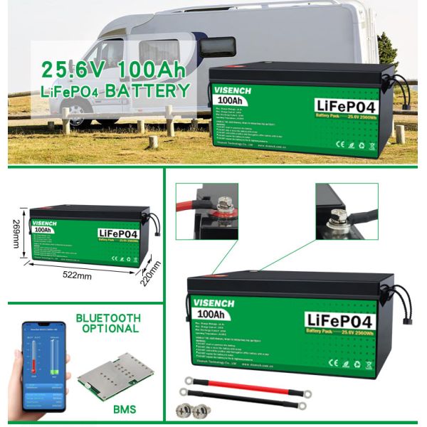 Visench Rechargeable Lithium Ion Batteries 51.2V 100Ah 24 Volt Custom LiFePO4 Battery Pack