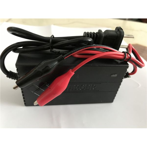10A 6v 12v Lead Acid Battery Chargers Electric Scooter 48v Forklift Battery Charger