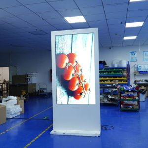 China Waterproof Hotel Digital Signage Freestanding Digital Display 3000cd Brightness wholesale