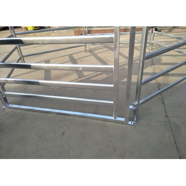 Australia Standard Steel Cattle Fence , Galvanized Horse Fence Panels With 5 / 6 Rail