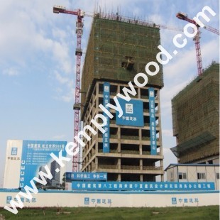 WBP Melamine Eucalyptus Construction Timber Film Faced Plywood, hard wood core shuttering plywood